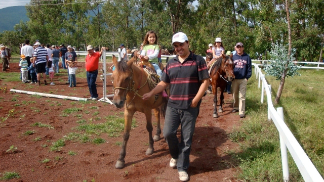 Imparare a cavalcare 